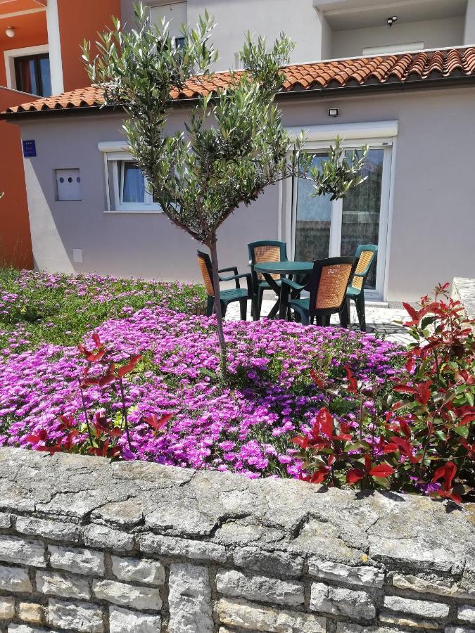 Apartment Lavanda بريمونتيرا المظهر الخارجي الصورة